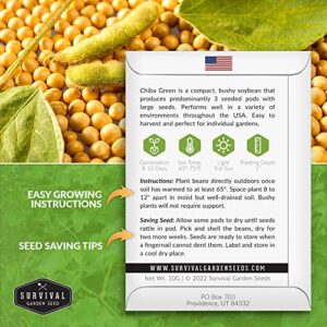 Survival Garden Seeds - Chiba Green Soybean Seed for Planting - 3 Packs with Instructions to Plant and Grow Protein-Rich Edamame Pods in Your Home Vegetable Garden - Non-GMO Heirloom Variety