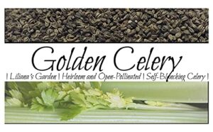 celery seeds “golden” – self-blanching celery with no strings | heirloom seeds by liliana’s garden |