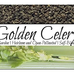 Celery Seeds “Golden” - Self-Blanching Celery with No Strings | Heirloom Seeds by Liliana's Garden |