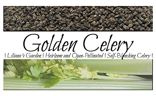 Celery Seeds “Golden” - Self-Blanching Celery with No Strings | Heirloom Seeds by Liliana's Garden |