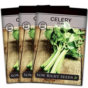 sow right seeds – tall utah celery seeds for planting – non-gmo heirloom packet with instructions to plant and grow an outdoor home vegetable garden – green leaf stalk celeriac – great gift (3)