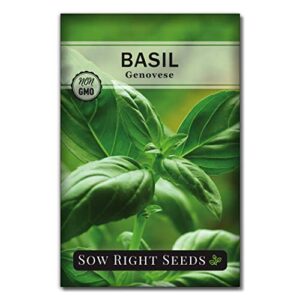 sow right seeds – genovese sweet basil seed for planting – heirloom, non-gmo with instructions to plant and grow a kitchen herb garden – great gardening gift – minimum of 500mg per packet (1)