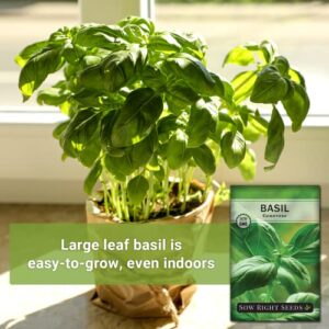 Sow Right Seeds - Genovese Sweet Basil Seed for Planting - Heirloom, Non-GMO with Instructions to Plant and Grow a Kitchen Herb Garden - Great Gardening Gift - Minimum of 500mg per Packet (1)