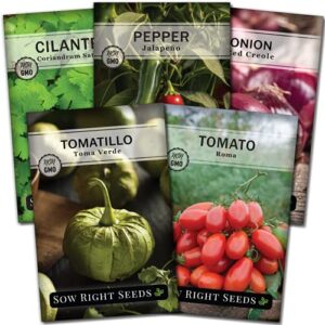 sow right seeds – salsa seed collection for planting – jalapeno, cilantro, roma tomato, tomatillo, and red onion – non-gmo heirloom seeds with instructions to plant your own home vegetable garden