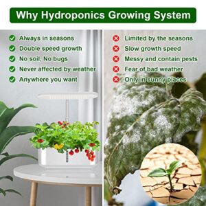 SXDLED Hydroponics Growing System with 10 pods, Herb Garden Kit Indoor with 104 Grow Light, Indoor Gardening System Hydroponic Garden with Automatic Timer, Quiet Water Pump,Height Adjustable(White)