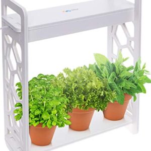 Mindful Design LED Indoor Herb Garden with Timer - at Home Mini Planter Kit for Herbs, Succulents, and Vegetables w/Hexagon Cutout (White)