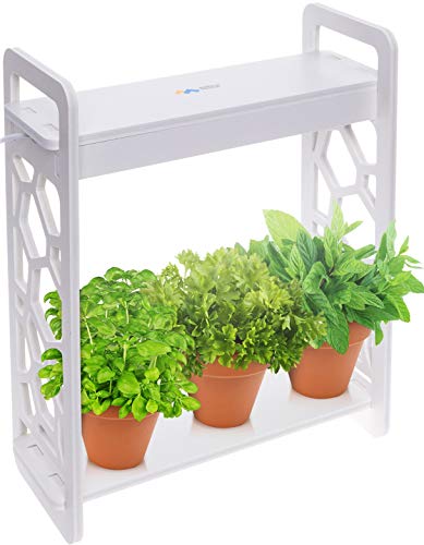 Mindful Design LED Indoor Herb Garden with Timer - at Home Mini Planter Kit for Herbs, Succulents, and Vegetables w/Hexagon Cutout (White)