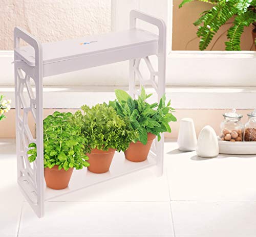 Mindful Design LED Indoor Herb Garden with Timer - at Home Mini Planter Kit for Herbs, Succulents, and Vegetables w/Hexagon Cutout (White)