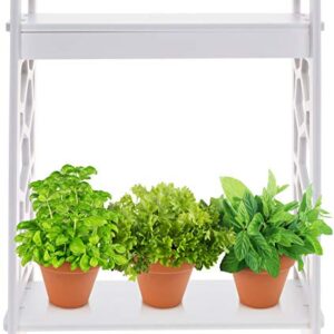 Mindful Design LED Indoor Herb Garden with Timer - at Home Mini Planter Kit for Herbs, Succulents, and Vegetables w/Hexagon Cutout (White)