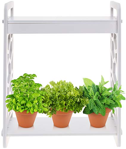 Mindful Design LED Indoor Herb Garden with Timer - at Home Mini Planter Kit for Herbs, Succulents, and Vegetables w/Hexagon Cutout (White)