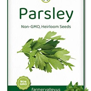 Parsley Seeds for Planting Home Garden Herbs - Non-GMO, Non-Hybrid, Untreated, and USA Grown Variety - Individual Pack of 550+ Heirloom Seeds, Suitable for Outdoors, Indoors, and Hydroponics