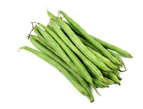 Burpee Stringless Green Bean Seeds for Planting, 50+ Heirloom Seeds Per Packet, (Isla's Garden Seeds), Non GMO Seeds, Botanical Name: Phaseolus vulgaris, 85% Germination Rates, Great Home Garden Gift