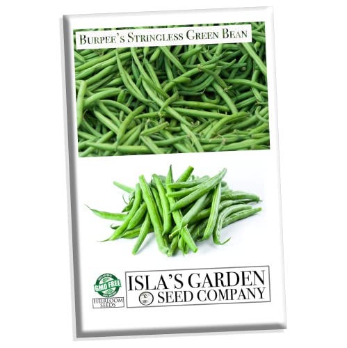 Burpee Stringless Green Bean Seeds for Planting, 50+ Heirloom Seeds Per Packet, (Isla's Garden Seeds), Non GMO Seeds, Botanical Name: Phaseolus vulgaris, 85% Germination Rates, Great Home Garden Gift