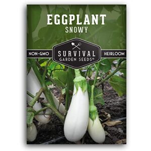 survival garden seeds – snowy eggplant seed for planting – packet with instructions to plant and grow white eggplant (aubergine) in your home vegetable garden – non-gmo heirloom variety
