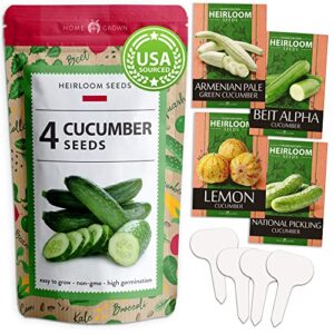 4 Cucumber Seeds Variety Pack - Cucumber Seeds for Planting - National Pickling, Beit Alpha, Armenian Pale Green, & Lemon Cucumbers to Plant Outdoors in Your Vegetable Garden