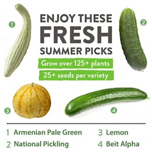 4 Cucumber Seeds Variety Pack - Cucumber Seeds for Planting - National Pickling, Beit Alpha, Armenian Pale Green, & Lemon Cucumbers to Plant Outdoors in Your Vegetable Garden