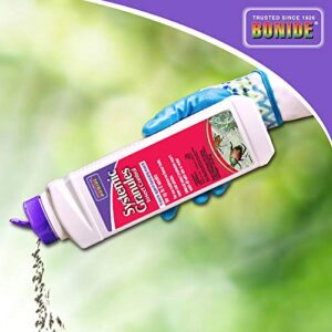 Bonide Systemic Insect Control, 1 lb. Ready-to-Use Granules for Long Lasting Insect Control in Lawn and Garden