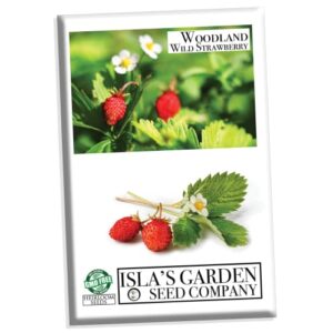 strawberry seeds, woodland wild strawberry fruit/plant seeds, 150 strawberry seeds per packet, non gmo seeds, (fragaria vesca), isla’s garden seeds