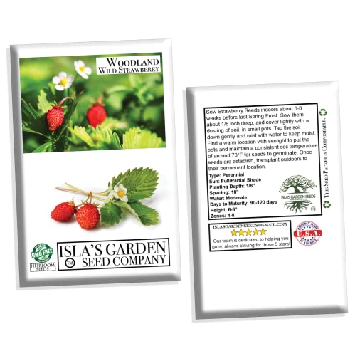 Strawberry Seeds, Woodland Wild Strawberry Fruit/Plant Seeds, 150 Strawberry Seeds Per Packet, Non GMO Seeds, (Fragaria vesca), Isla's Garden Seeds