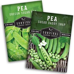 survival garden seeds sugar peas collection seed vault – oregon sugar pod ii pea & sugar daddy snap pea – non-gmo heirloom varieties to grow delicious cool weather vegetables on your homestead