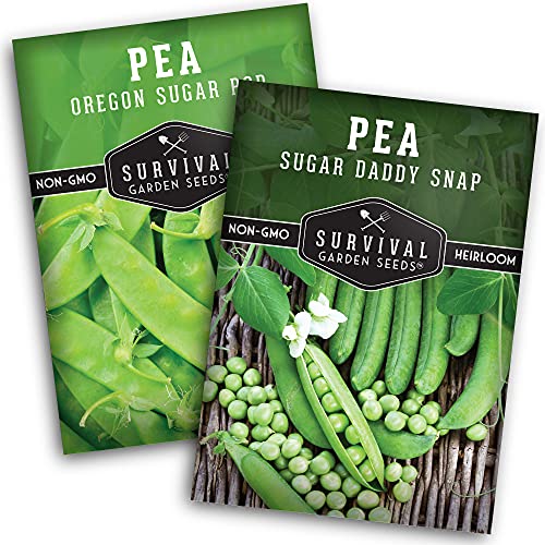 Survival Garden Seeds Sugar Peas Collection Seed Vault - Oregon Sugar Pod II Pea & Sugar Daddy Snap Pea - Non-GMO Heirloom Varieties to Grow Delicious Cool Weather Vegetables on Your Homestead