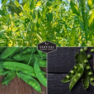 Survival Garden Seeds Sugar Peas Collection Seed Vault - Oregon Sugar Pod II Pea & Sugar Daddy Snap Pea - Non-GMO Heirloom Varieties to Grow Delicious Cool Weather Vegetables on Your Homestead