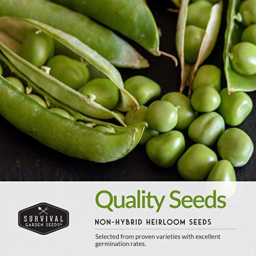 Survival Garden Seeds Sugar Peas Collection Seed Vault - Oregon Sugar Pod II Pea & Sugar Daddy Snap Pea - Non-GMO Heirloom Varieties to Grow Delicious Cool Weather Vegetables on Your Homestead