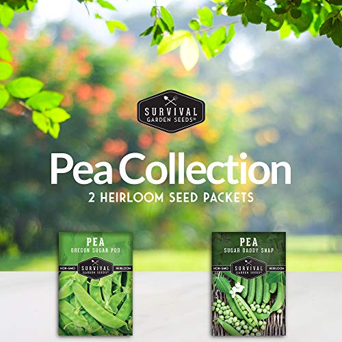 Survival Garden Seeds Sugar Peas Collection Seed Vault - Oregon Sugar Pod II Pea & Sugar Daddy Snap Pea - Non-GMO Heirloom Varieties to Grow Delicious Cool Weather Vegetables on Your Homestead