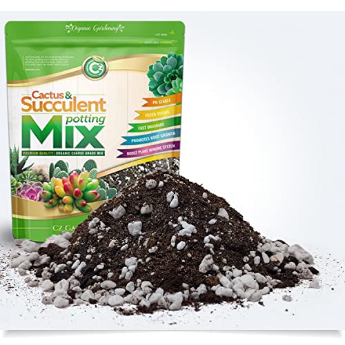 Organic Cactus & Succulent Mix - Made in USA with Premium Grade Ingredients - Coco Peat Humus • Perlite • Sand • Horticultural Charcoal to Filter Toxins and Improve Plant Growth