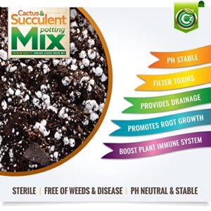 Organic Cactus & Succulent Mix - Made in USA with Premium Grade Ingredients - Coco Peat Humus • Perlite • Sand • Horticultural Charcoal to Filter Toxins and Improve Plant Growth