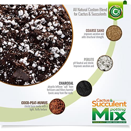 Organic Cactus & Succulent Mix - Made in USA with Premium Grade Ingredients - Coco Peat Humus • Perlite • Sand • Horticultural Charcoal to Filter Toxins and Improve Plant Growth