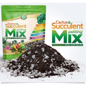 Organic Cactus & Succulent Mix - Made in USA with Premium Grade Ingredients - Coco Peat Humus • Perlite • Sand • Horticultural Charcoal to Filter Toxins and Improve Plant Growth
