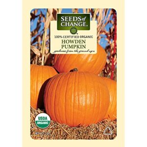 seeds of change certified organic howden pumpkin