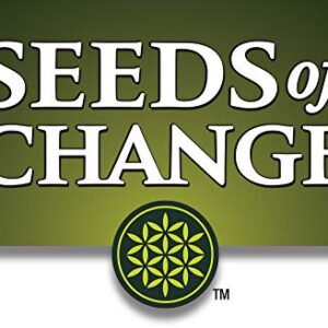 Seeds of Change Certified Organic Howden Pumpkin