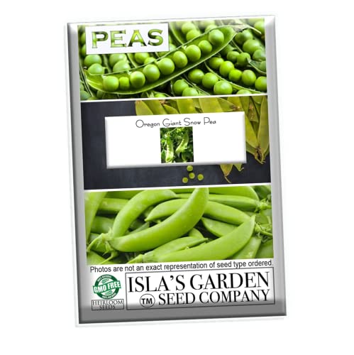 Oregon Giant Snow Pea Seeds for Planting, 25+ Heirloom Seeds Per Packet, (Isla's Garden Seeds), Non GMO Seeds, Botanical Name: Pisum sativum, Great Home Garden Gift