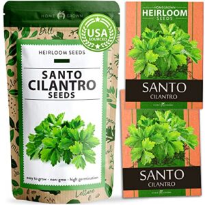 500+ santo cilantro seeds for planting indoors or outdoors – non-gmo, heirloom herbs, coriander plant seeds – cilantro herb seeds for your indoor herb garden