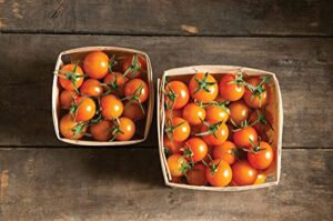 david’s garden seeds tomato cherry indeterminate sun gold fba-00010 (orange) 25 non-gmo, hybrid seeds