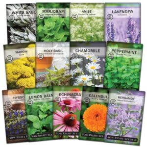 Sow Right Seeds - Large Medicinal Herb Seed Collection for Planting - Lemon Balm, Lavender, Yarrow, Echinacea, Bergamot, Anise, Chamomile, Calendula, Marjoram & More - Non-GMO Heirloom