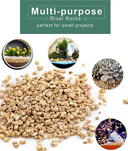 Succulent Cactus Gold Maifanitum Stone 6lb Small Decorative Gravel DIY Rock Indoor Houseplants Pebbles Soil Additive Potting Gritty for Bonsai, Fairy Gardening, Vases Fillers, Terrarium, Top Dressing