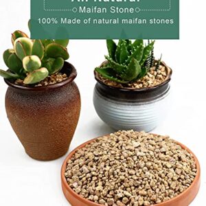 Succulent Cactus Gold Maifanitum Stone 6lb Small Decorative Gravel DIY Rock Indoor Houseplants Pebbles Soil Additive Potting Gritty for Bonsai, Fairy Gardening, Vases Fillers, Terrarium, Top Dressing