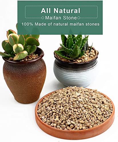 Succulent Cactus Gold Maifanitum Stone 6lb Small Decorative Gravel DIY Rock Indoor Houseplants Pebbles Soil Additive Potting Gritty for Bonsai, Fairy Gardening, Vases Fillers, Terrarium, Top Dressing