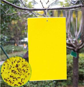 20 count dual yellow sticky traps 8 x 6 inch set for flying plant insect like fungus gnats, aphids, whiteflies, leafminers -included 20pcs twist ties