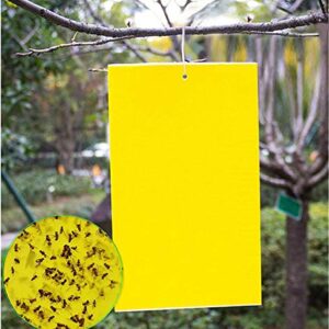 20 Count Dual Yellow Sticky Traps 8 X 6 Inch Set for Flying Plant Insect Like Fungus Gnats, Aphids, Whiteflies, Leafminers -Included 20pcs Twist Ties