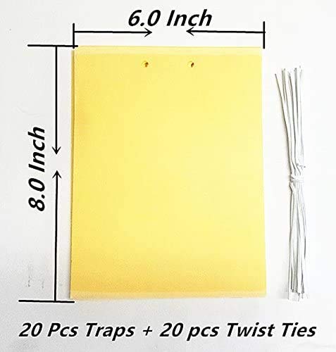 20 Count Dual Yellow Sticky Traps 8 X 6 Inch Set for Flying Plant Insect Like Fungus Gnats, Aphids, Whiteflies, Leafminers -Included 20pcs Twist Ties