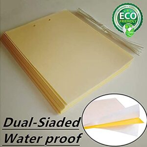 20 Count Dual Yellow Sticky Traps 8 X 6 Inch Set for Flying Plant Insect Like Fungus Gnats, Aphids, Whiteflies, Leafminers -Included 20pcs Twist Ties