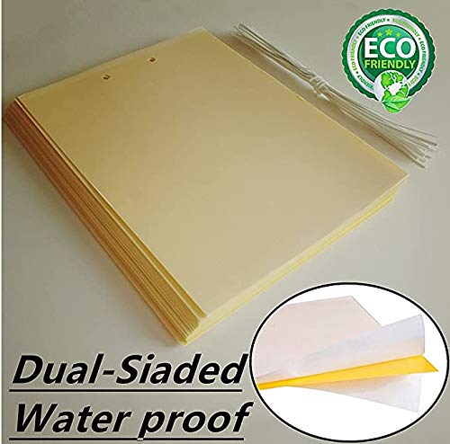 20 Count Dual Yellow Sticky Traps 8 X 6 Inch Set for Flying Plant Insect Like Fungus Gnats, Aphids, Whiteflies, Leafminers -Included 20pcs Twist Ties