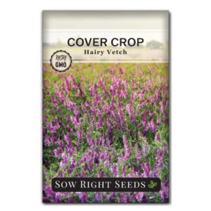 sow right seeds – hairy vetch seed for planting – cover crops to plant in your home vegetable garden – enriches soil – suppresses weeds – winter hardy – non-gmo heirloom seeds – a great gardening gift