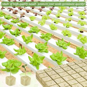 Halatool 2 Inch Garden Rockwool Stonewool, Rockwool Grow Cubes, 2 Sheets Starter Plugs for Soilless Cultivation, Seedlings Cuttings, Clone Plants, Hydroponics Germination Start (96 Plugs in Total)