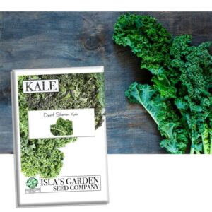 dwarf siberian kale seeds for planting, 500+ heirloom seeds per packet, (isla’s garden seeds), non gmo seeds, botanical name: brassica oleracea, great home garden gift