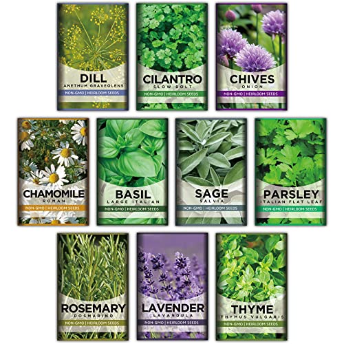 10 Herb Kit Non-GMO Growing into Thyme, Lavender, Chamomile, Dill, Chives, Cilantro, Rosemary, Basil, Parsley, Sage Indoor/Outdoor Herb Planting for Kitchen Windowsill Gardening Gift